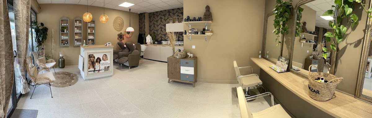 Vue d'ensemble du salon : espace coiffage, coin accueil et décoration végétale